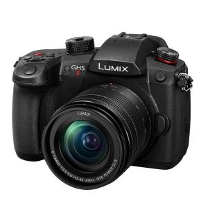 パナソニック(Panasonic) LUMIX(ルミックス) ミラーレス一眼カメラ GH5II  12-60mm標準ズームレンズキット　DC-GH5M2M｜saeday