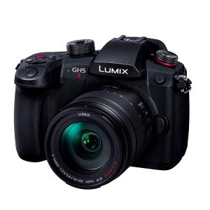 パナソニック(Panasonic) LUMIX(ルミックス) ミラーレス一眼カメラ GH5II 14-140mm高倍率ズームレンズキット　DC-GH5M2H