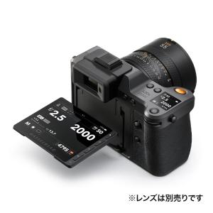 【ハンディファンプレゼント】 Hasselbl...の詳細画像3