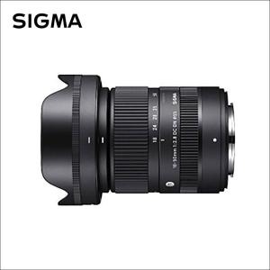 シグマ 14-24mm F2.8 DG DN Art ソニーE用 Amazon.com : Sigma 14-24mm F2.8 DG DN Sony E Mount (Renewed