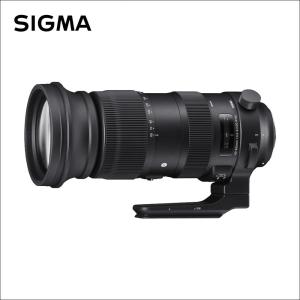 シグマ(Sigma) 60-600mm F4.5-6.3 DG OS HSM | Sports(スポーツ) ニコンFマウント用