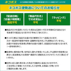 【ネコポス便配送商品】【外箱・フィルムケースな...の詳細画像2