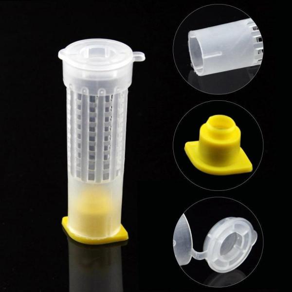 養蜂器具 分蜂王籠 養蜂 蜂女王 逃去防止器 巣箱 蜜蜂 みつばち 10個