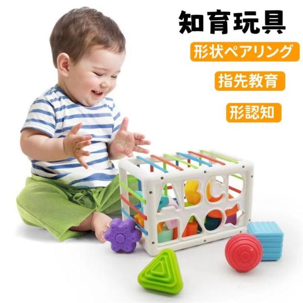 safaristore知育玩具 あかちゃん 赤ちゃん おもちゃ モンテッソーリ かたはめ はめこみ ...