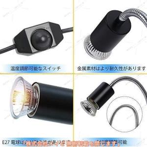 亀ライト 両生類用ライト 爬虫類ライト 25 ...の詳細画像2