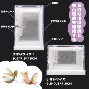 カマキリ専用飼育箱 アクリルカマキリかご カマ...の詳細画像2