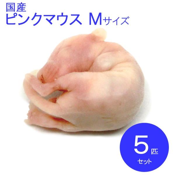 国産冷凍マウス    ピンクM  ５匹　SAfarm 【冷凍エサ】