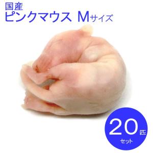 国産冷凍マウス    ピンクM  20匹　SAfarm 【冷凍エサ】