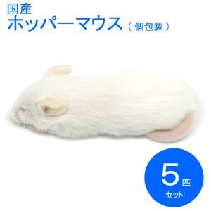 国産冷凍マウス ホッパー 5匹 SAfarm 【...の商品画像