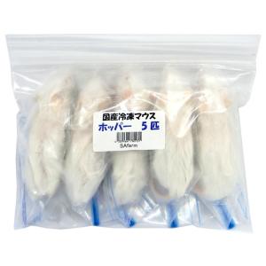 国産冷凍マウス ホッパー 5匹 SAfarm ...の詳細画像1