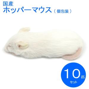 国産冷凍マウス    ホッパー　10匹　SAfarm 【冷凍エサ】