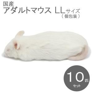 国産冷凍マウス アダルトLL 10匹 SAfar...の商品画像