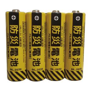 アルカリ乾電池 防災 乾電池 単3形 40本 ...の詳細画像1