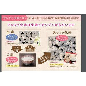 非常食 アルファ米 安心米 炊き出し用 きのこ...の詳細画像3
