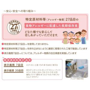 非常食 アルファ米 安心米 炊き出し用 きのこ...の詳細画像5