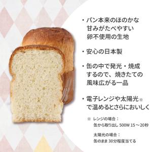 非常食 新食缶ベーカリー EggFreeプレー...の詳細画像3