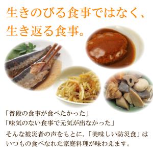 非常食 美味しい防災食 野菜のシチュー 単品 ...の詳細画像1