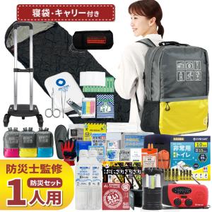 防災士が選んだオリジナル防災用品39点セットDX(a33629) ( 1個