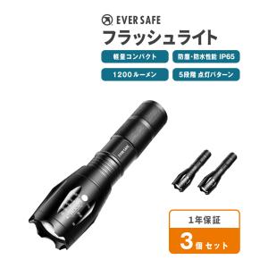 MILITARY（ミリタリー） SUREFIRE シュアファイア E1B BACKUP WITH