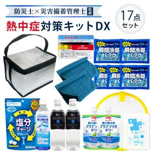 熱中症対策用品 熱中症対策キットDX シルバー 17点 1セット 暑さ対策 クーラーバッグ 瞬間冷却剤 ゼリー ドリンク 塩分チャージ タブレット 工事現場 ATDX001