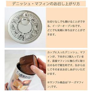 非常食 IZAMESHI イザメシ メープルデ...の詳細画像2