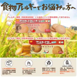 非常食 お菓子 尾西のライスクッキー ココナッ...の詳細画像1
