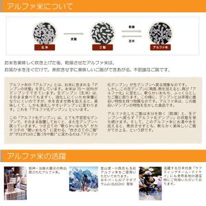 非常食セット 尾西のアルファ米 9種類9食セッ...の詳細画像4