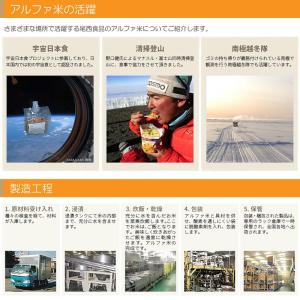 非常食セット 尾西のアルファ米 9種類9食セッ...の詳細画像5