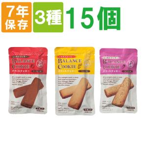 非常食セット バランスクッキー BALANCE ...の商品画像