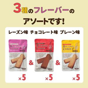 非常食セット バランスクッキー BALANCE...の詳細画像2