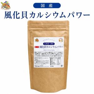 古代ソマチッド 粉タイプ 100g ソマチッド SOMACHI ソマチ 奇跡の鉱石