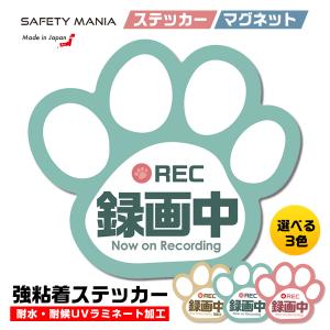 録画中 ステッカー 肉球 シール 9cm×8cmドライブレコーダー搭載車両