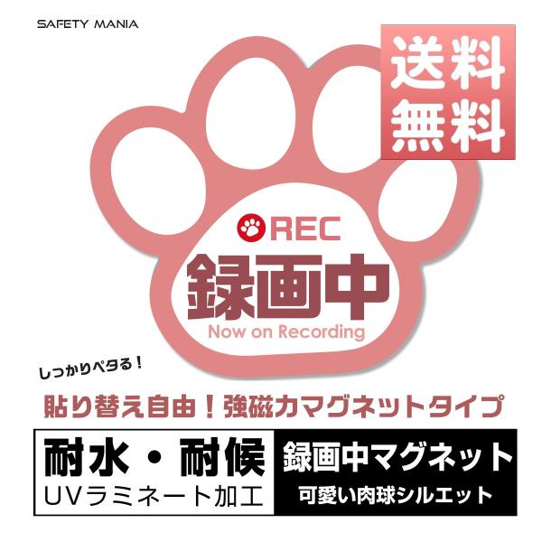 マグネットステッカー 録画中 肉球 12cm×11cmドライブレコーダー搭載車両 あおり運転防止 防...