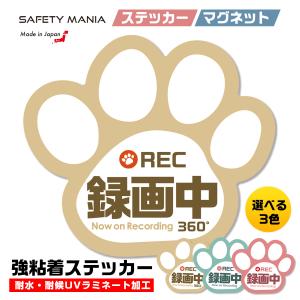 ドラレコ 録画中 ステッカー 肉球 シール ブルー 選べる3色 車 あおり