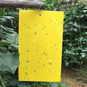 捕り粘着シート 25*20cm 30枚 捕虫シート 昆虫トラップ 粘着性 害虫捕獲 粘着紙 害虫対策用品 強力 両面粘着紙 防水 安全無毒 簡単取付