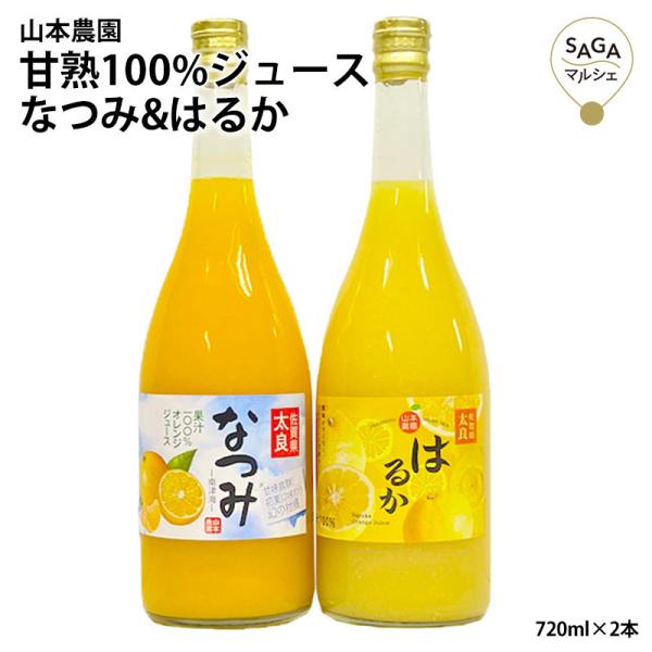 甘熟100%ジュース なつみ はるか 720ml 2本 オレンジジュース お年賀 冬ギフト みかんジ...