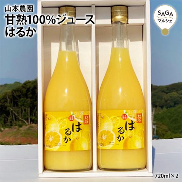 甘熟100%ジュース はるか 保存料 香料 着色料不使用 オレンジジュース お年賀 冬ギフト みかん...