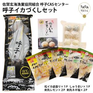 呼子イカづくしセット 佐賀 呼子 松いか姿造り 剣先いか
