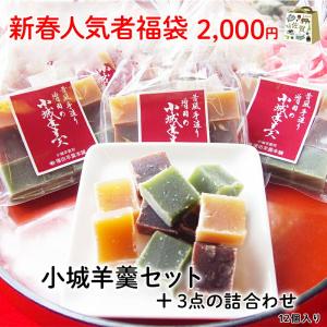 新春 初売り 初売 福袋 2023 新春人気者福袋（小城羊羹セット）+３点 お得　お買い得　セット　詰合せ　福袋　運試し　佐賀　九州　