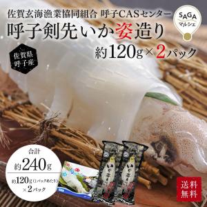 呼子剣先イカ姿造り　約120g×2Ｐ　呼子・CASセンター 佐賀　九州　ケンサキイカ　夏イカ　刺身　お取り寄せ　グルメ｜SAGAマルシェYahoo!ショップ