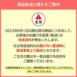 藤川とうふ店 嬉野温泉 美肌温泉湯どうふ3丁セ...の詳細画像2