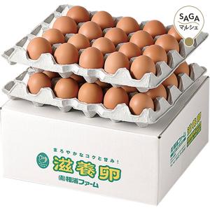 お歳暮　御歳暮　高級 ギフト 贈り物 食べ物 九州佐賀