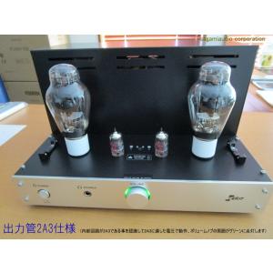 [完成品] EK-JAPAN TU-8900 ...の詳細画像4