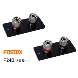 FOSTEX P24B [2個1組] (フォステクス スピーカーターミナル)｜sagamiaudio-co