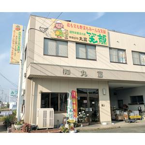 丸富 植物栄養活力剤 天地の恵み 1号 1kg...の詳細画像1