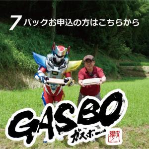 1パック】超ロング粗挽きウインナー “ガスボー” 1本 100g ×10本
