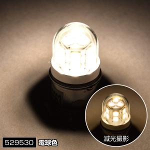 ハイパワーLEDバルブNEOplus　12V/24V共用　電球色