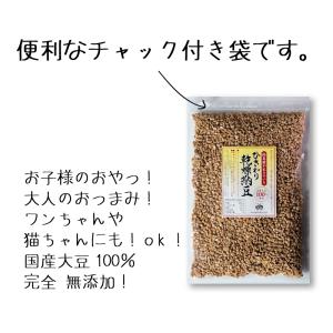 ひきわり乾燥納豆 100g 無添加 国産大豆 ...の詳細画像1