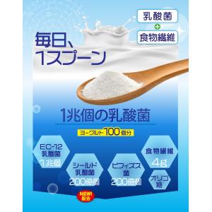 毎日1兆個 乳酸菌生活 30日分 2袋セットの詳細画像2