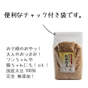 ひきわり乾燥納豆 1kg 無添加 国産大豆 フ...の詳細画像2